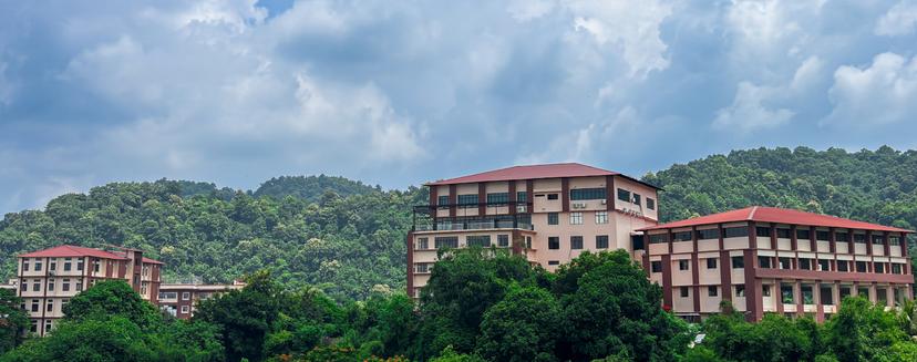 Assam Down Town University